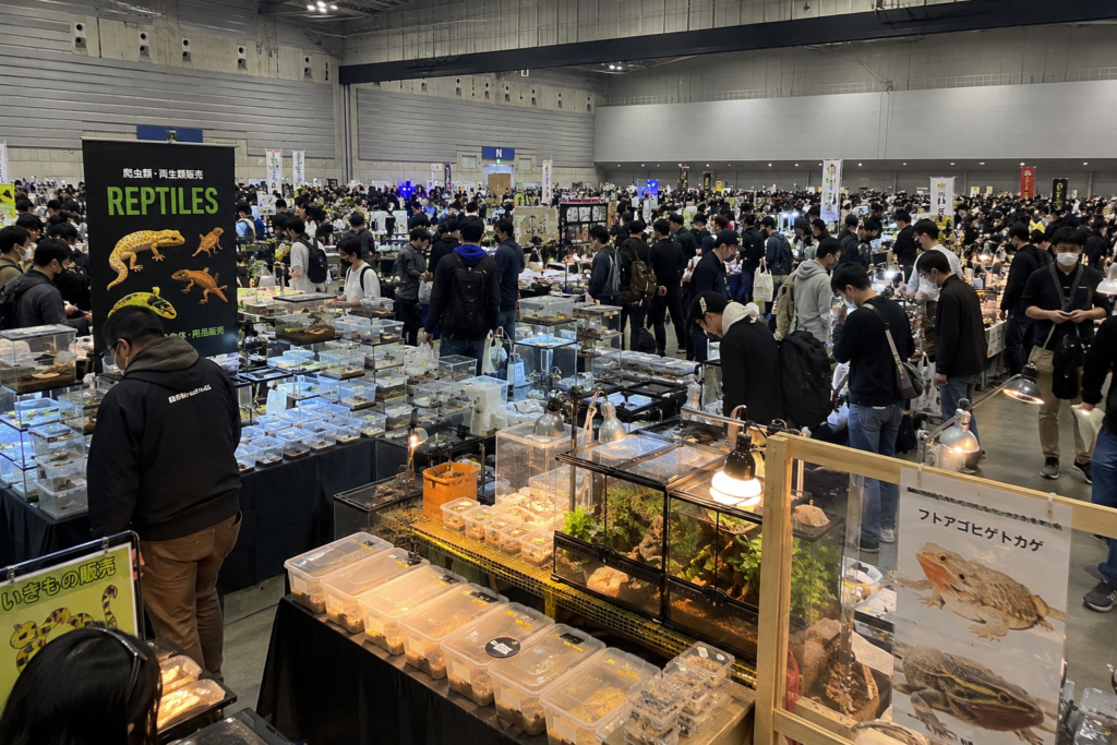 爬虫類イベントの会場の様子