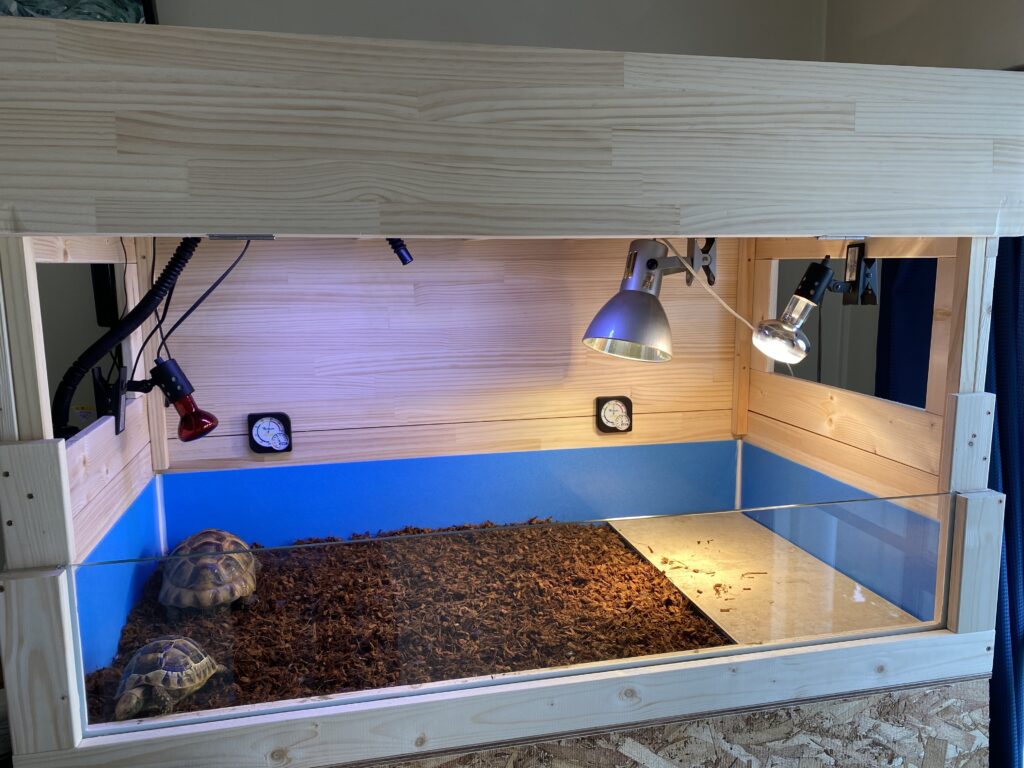 自作リクガメケージの内部。防水加工と保温ライト