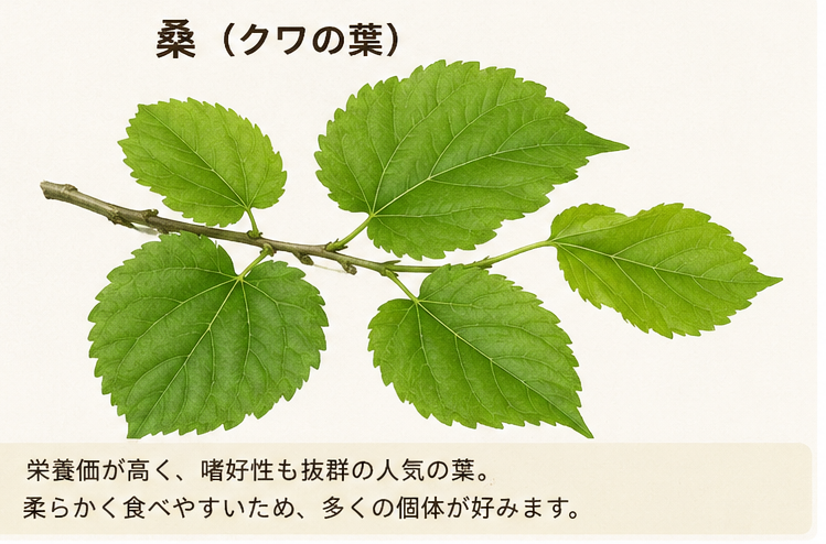 リクガメ用の人工フード