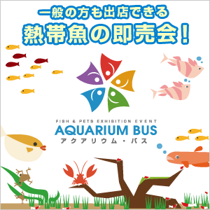アクアリウムバス公式配布バナー