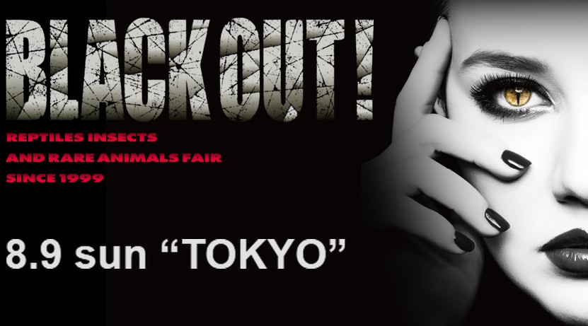 BLACK OUT! 2026 公式バナー