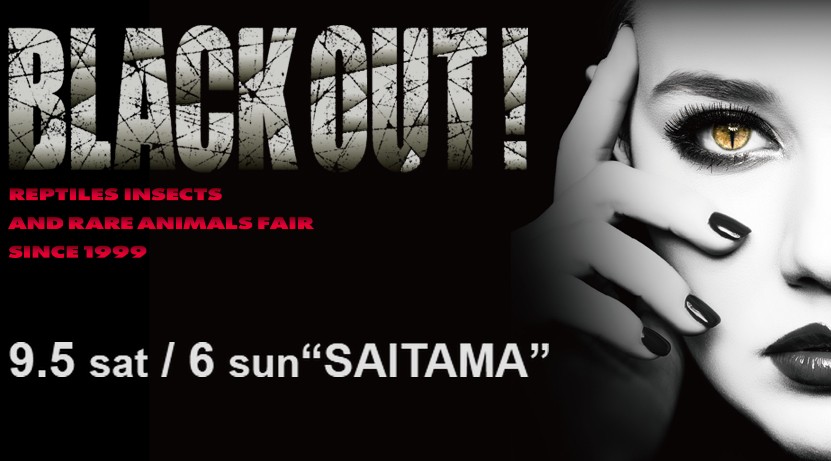 BLACK OUT! 2026 公式バナー