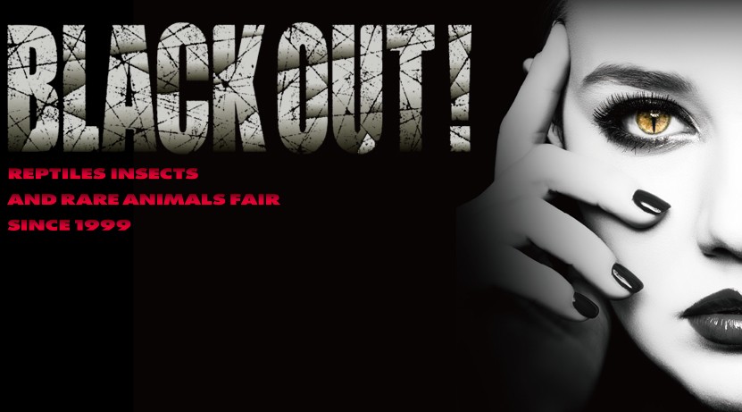 BLACK OUT! 2026 公式バナー
