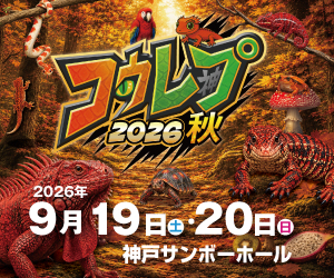 コウレプ公式配布バナー