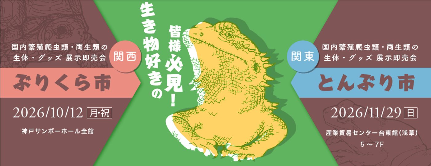 とんぶり市2026 告知バナー
