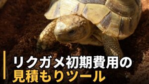 リクガメの初期費用 見積もりツール
