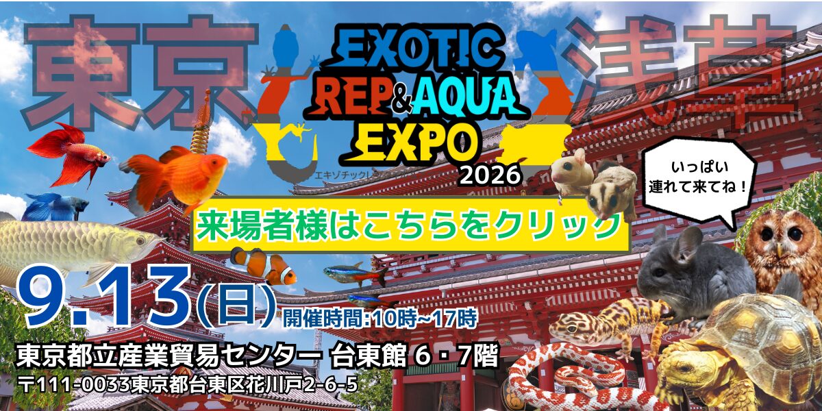EXOTIC REP ＆ AQUA EXPO 東京 2026年9月13日 イベント案内画像