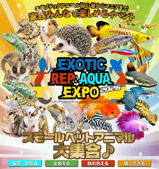 EXOTIC REP ＆ AQUA EXPO 東京 2026年12月6日 イベント案内画像（暫定）