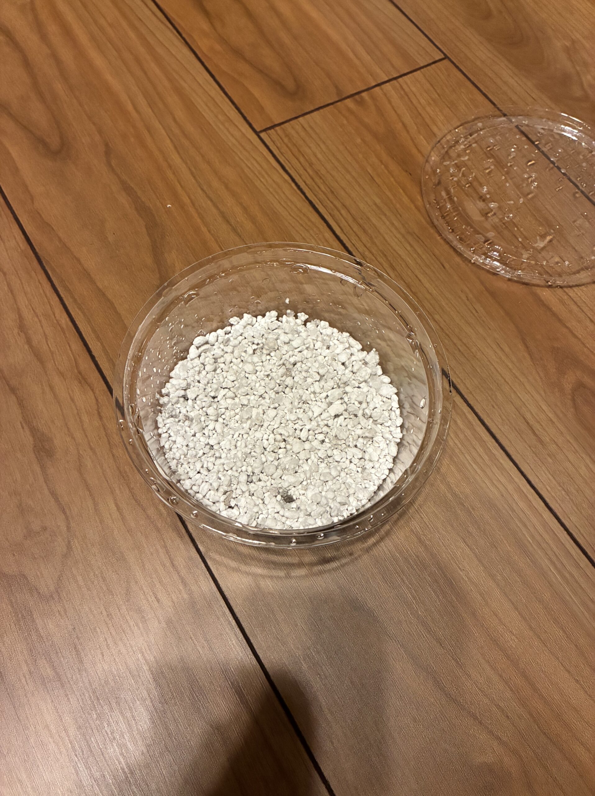 孵卵用の容器にハッチライトを敷いた状態